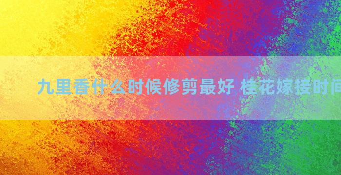 九里香什么时候修剪最好 桂花嫁接时间和方法